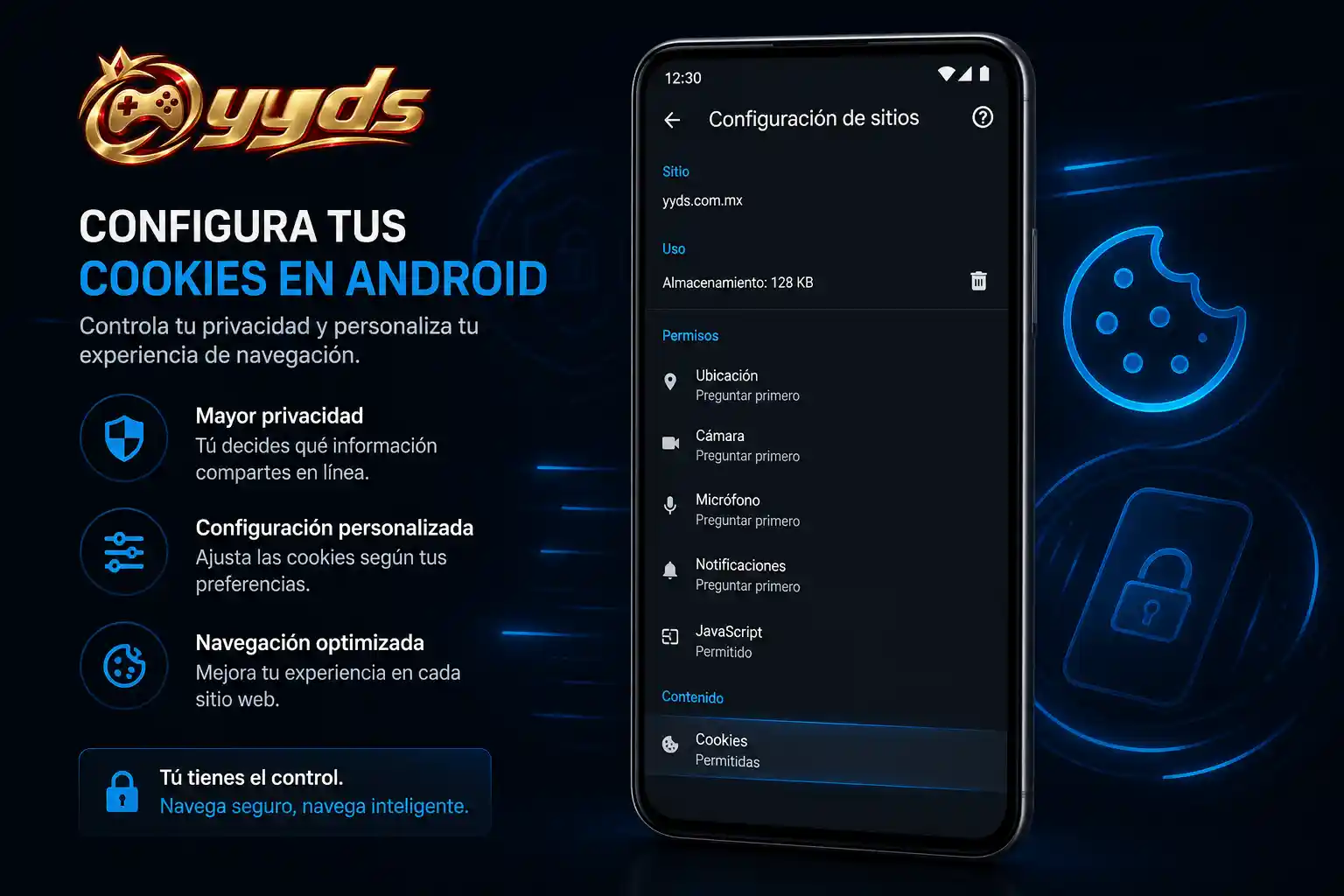 Menú de cookies y privacidad abierto en un celular Android